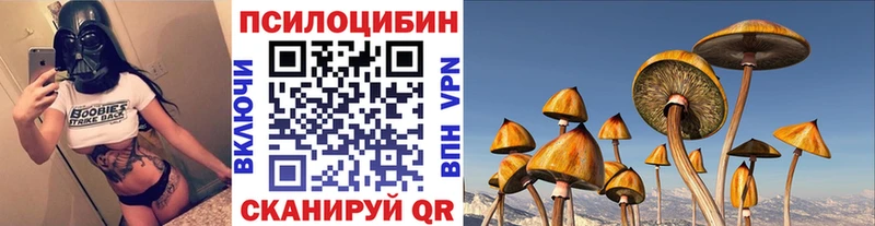 закладка  Петушки  blacksprut зеркало  Псилоцибиновые грибы Psilocybine cubensis 